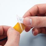 brady_110927_3