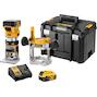 dewalt_dcw604p2_qw