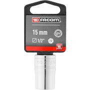 facom_s15pb