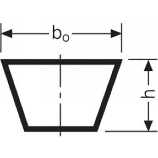 conti_170x635_2