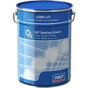 skf_lgwm15