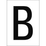 brady_911329