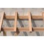fischer_564686_6