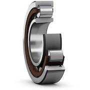 skf_nu206eckpc3