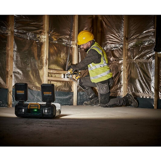 dewalt_dwst08061_1