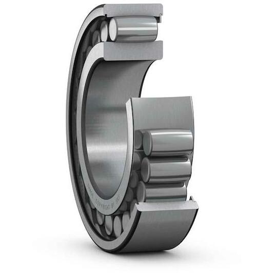skf_c4908v