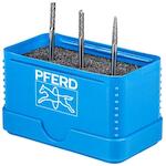 pferd_21901504