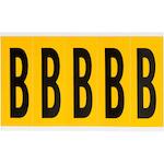 brady_097101