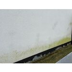rectavit_114034_4