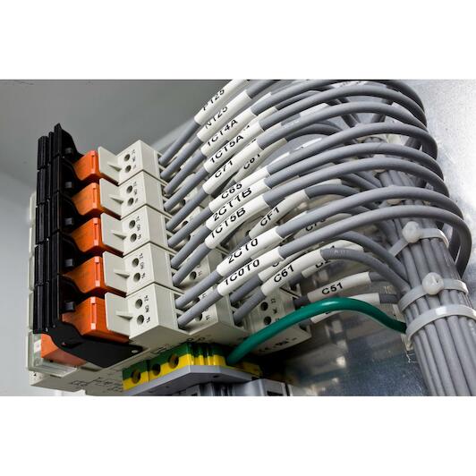 brady_032604_7