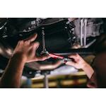 gedorered_3301871_4