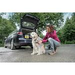 karcher_26438730