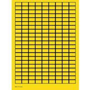 brady_101807