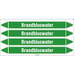 brady_n005796