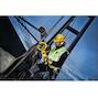 dewalt_dt40255_qz