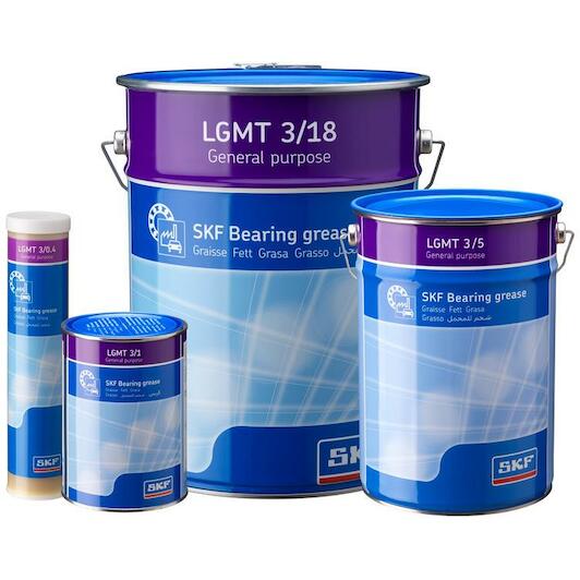 skf_lgmt304_2