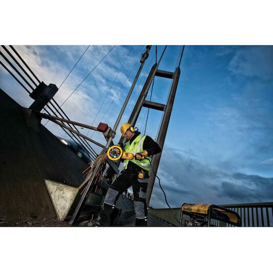 dewalt_dt40255_qz