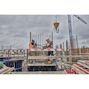 dewalt_dcps320n_xj_11