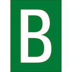 brady_911407