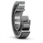 skf_nu1006