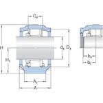 skf_snln3038_2