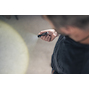 ledlenser_503100_9