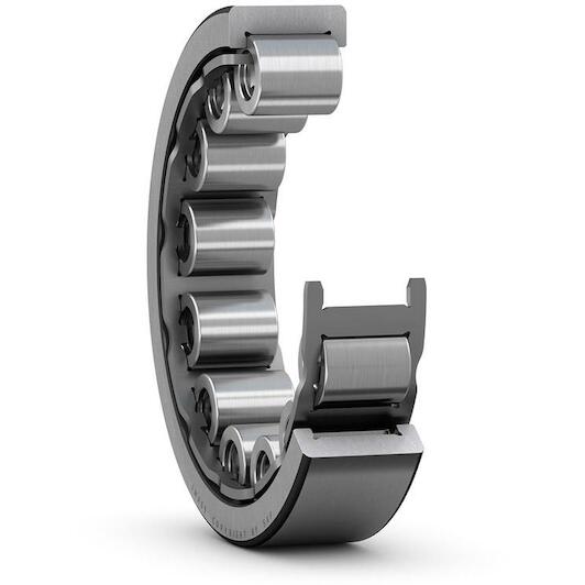 skf_rnu305