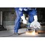 pferd_61329522_2