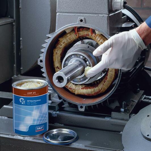 skf_lghp218_3
