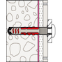 fischer_557728_17