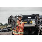 dewalt_dcps151_xj_16