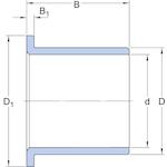 skf_ppmf121412_2