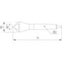 phantom_425105002_2