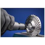 pferd_21103187_2