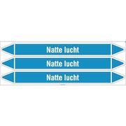brady_n004675