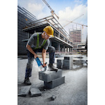bosch_06018c7100_7