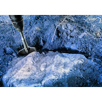 bosch_1618601017_7