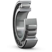 skf_c4908v