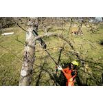 metabo_601727850_4