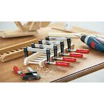 bessey_lm2010