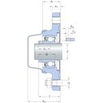 skf_f2bc35m_cpss_dfh_2