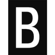 brady_911251