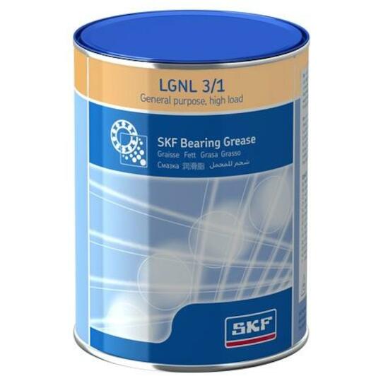skf_lgnl31