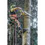 dewalt_dcmcst635x1_qw