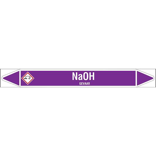 brady_n003907