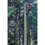 dewalt_dcmcst635n_xj