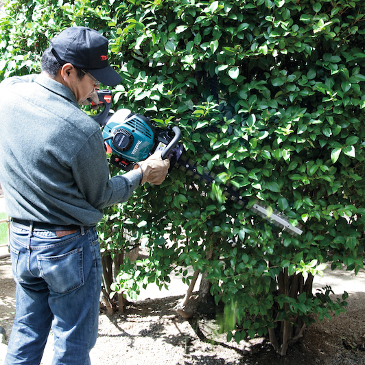 makita_eh6000w