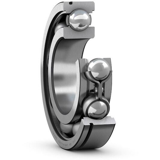 skf_6006n