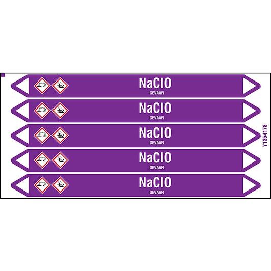 brady_n003889