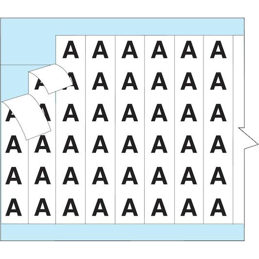 brady_111212_3